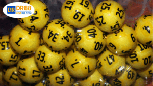 Hiểu rõ về Nuôi đầu đuôi khung 7 ngày