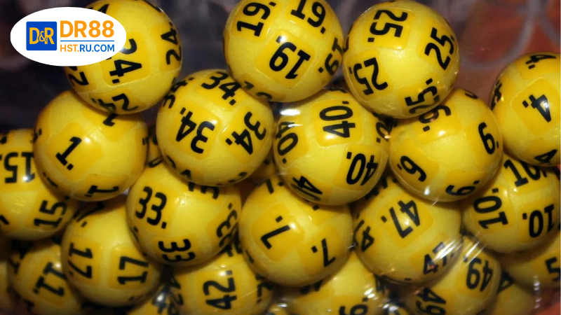 Hiểu rõ về Nuôi đầu đuôi khung 7 ngày