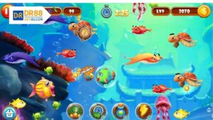 Bắn Cá Bingo Club – Sân Chơi Giải Trí 